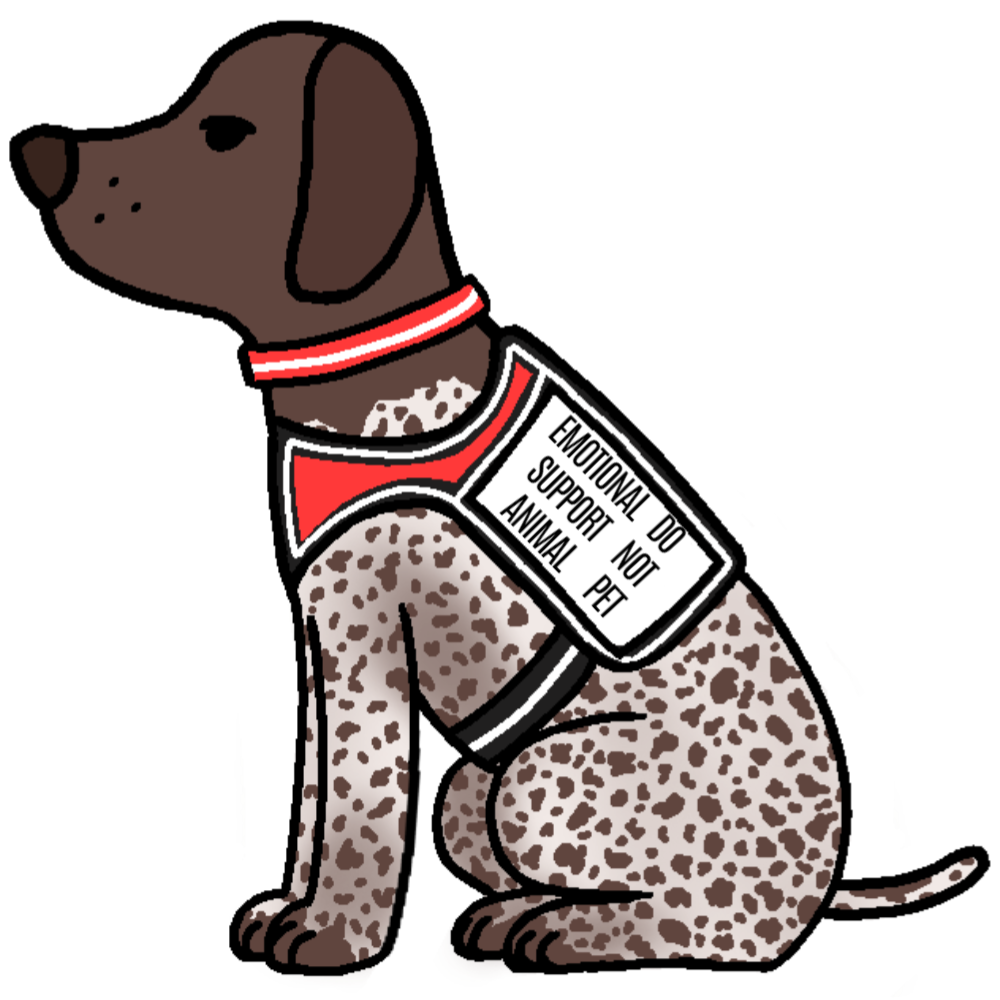 a sitting dog wearing a vest that says 'emotional support animal do not pet'. the dog has a red collar and is brown and white.
